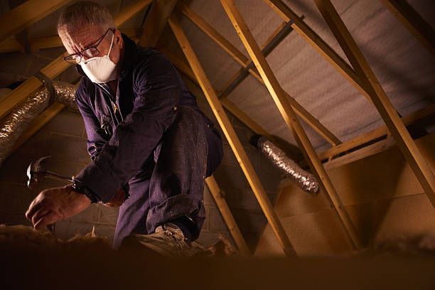Best Eco-Friendly Insulation in Inkerman, PA